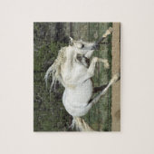 アンダルシアランニングスタリオンPR ジグソーパズル (縦)