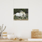 アンダルシアランニングスタリオンPR ポスター (キッチン)