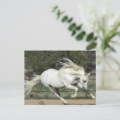 アンダルシアランニングスタリオンPR ポストカード (スタンド正面)