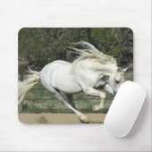 アンダルシアランニングスタリオンPR マウスパッド (マウス)