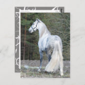 アンダルシアン 2 ポストカード (正面/裏面)