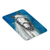 アンダルシア馬プレミアムフレキシマグネット マグネット (右側)