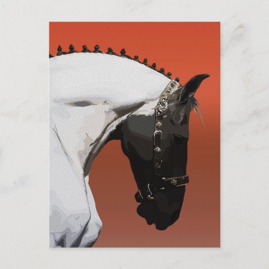 アンダルシエレガントアンホース – エクス威厳のあるトリアンアート ポストカード (正面)