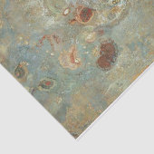 アンダーウタービジョンバイオディロンレドン 薄葉紙 (詳細)