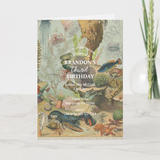 アンダーザシー海シーアニマルレトロ誕生日 招待状 (正面)