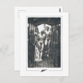 アンダースゾーン#279 -ファインアートポストカード ポストカード (正面/裏面)