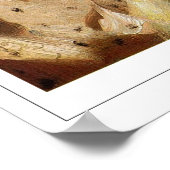 アンダース・ゾーン・ゼディング・アート・ポスター#330 ポスター (角)