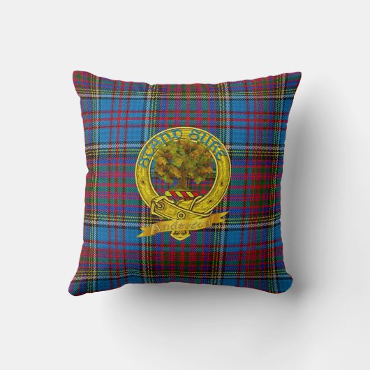アンダーソンの一族のタータンチェック及びモチーフ クッション (裏面)