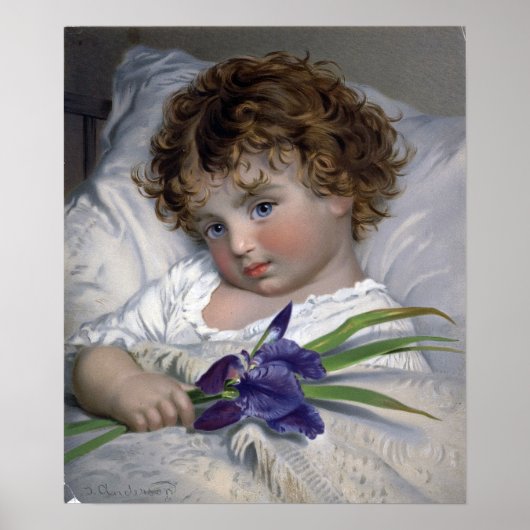 アンダーソン – Prattling Primrose ポスター (正面)