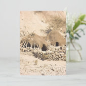 アンチエント砂漠住居 シーズンカード (スタンド正面)