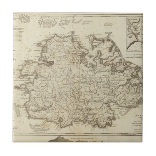 アンチグア タイル (正面)