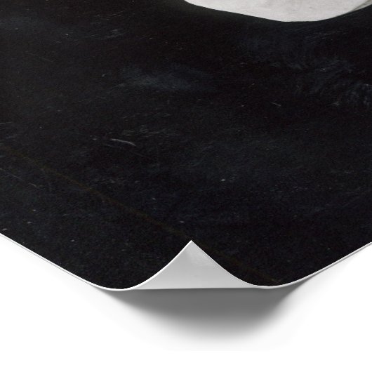 アンチノスモンドラゴンという無色骨の胸像 ポスター (角)