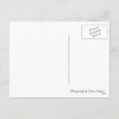 アンチバレンタインのはがき シーズンポストカード (裏面)