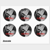 アンチヒーロー呼吸器シール ラウンドシール (シート)