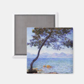 アンチベス磁石 マグネット (正面/裏面)