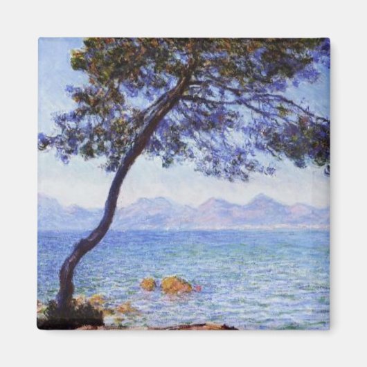 アンチベス磁石 マグネット (正面)