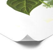 アンチューリウムアンドレアナム ポスター (角)