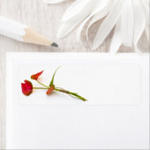 アンチューリウム花 ラベル (インサイチュ)