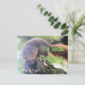 アンチリス ポストカード (スタンド正面)