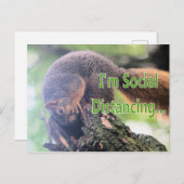 アンチリス ポストカード (正面/裏面)