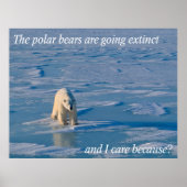 アンチ極熊 ポスター (正面)