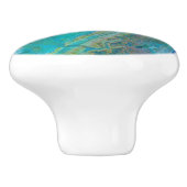 アンチ・アトラス山脈(モロッコ)テラ衛星 セラミックノブ (側面)