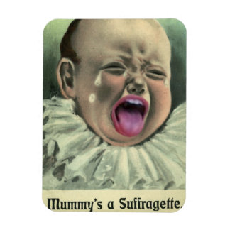 アンチ・ウーマンズ・ライツ冷凍機マグネット マグネット