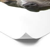 アンチ-BSLが行為を処罰し、品種のポスターではない ポスター (角)