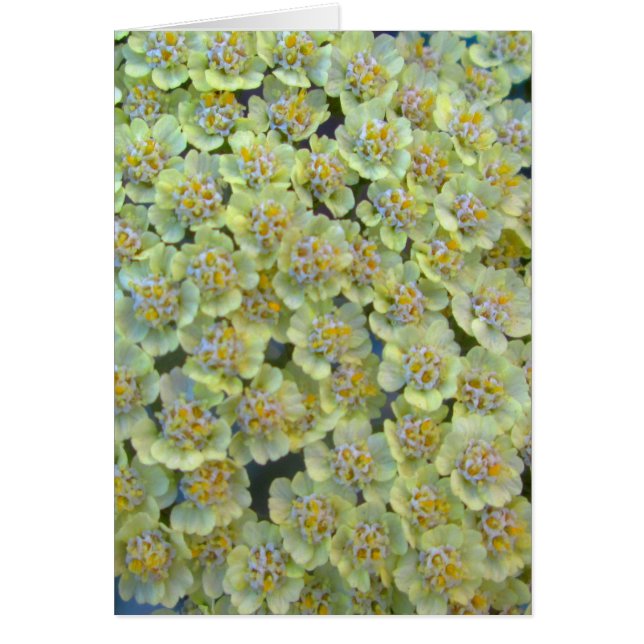 アンテアヤロー閉じる (正面)