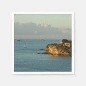 アンティグアンコーストビューティフルアイランドシースケープ スタンダードカクテルナプキン (正面)