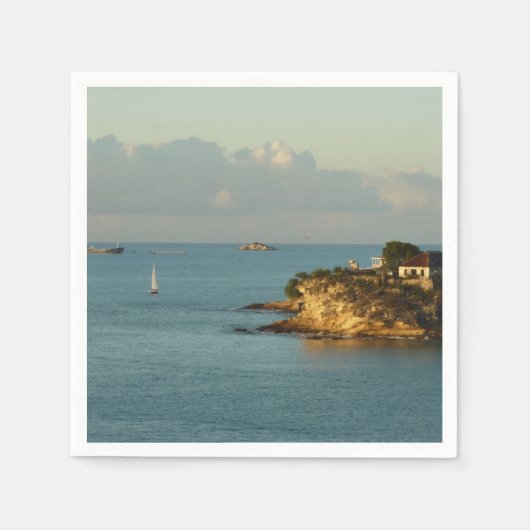 アンティグアンコーストビューティフルアイランドシースケープ スタンダードカクテルナプキン (正面)