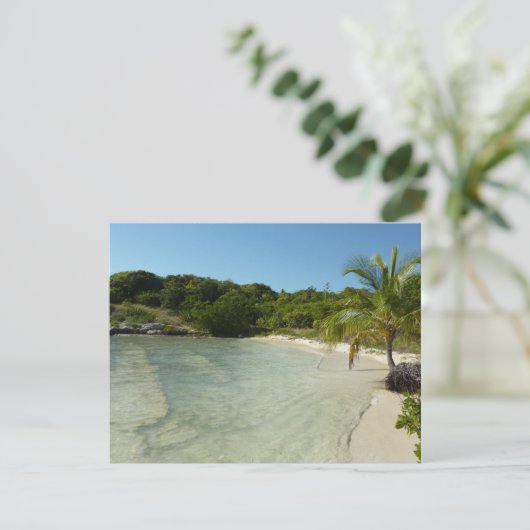 アンティグアンビーチ美しい熱帯風景 (スタンド正面)