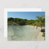 アンティグアンビーチ美しい熱帯風景 (正面/裏面)