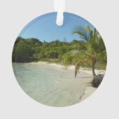 アンティグアンビーチ美しい熱帯風景 オーナメント (裏面)