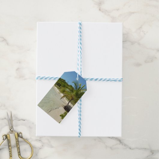 アンティグアンビーチ美しい熱帯風景 ギフトタグ (より糸付き)