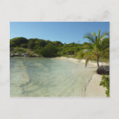 アンティグアンビーチ美しい熱帯風景 ポストカード (正面)