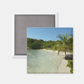 アンティグアンビーチ美しい熱帯風景 マグネット (正面/裏面)