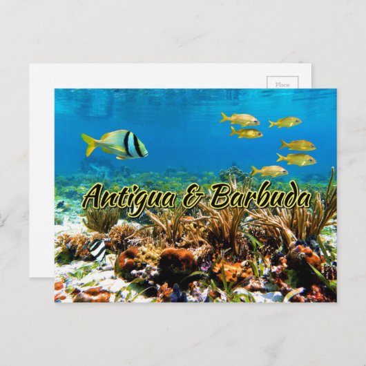 アンティグア・バーブーダ珊瑚礁 ポストカード (正面/裏面)