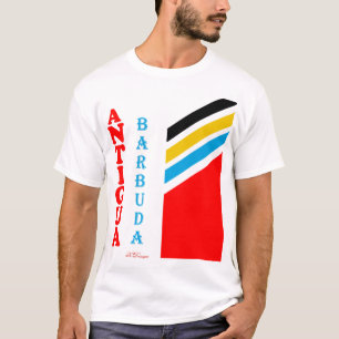 アンティグカラフルア Tシャツ