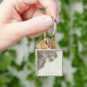 アンティブス キーホルダー (手)