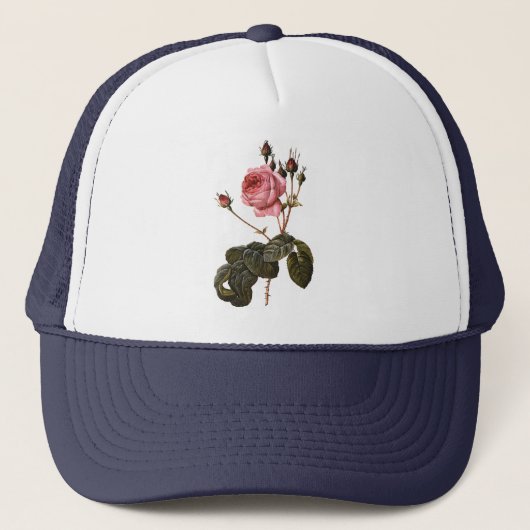 アンティークなバラの庭のピンクの花 キャップ (正面)