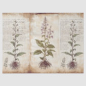 アンティークな植物学のハーブデコパージュ 薄葉紙 (正面)