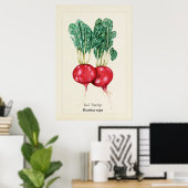 アンティークな赤カブの植物画イラストの壁掛けアート ポスター (ホームオフィス)