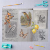 アンティークの鳥と蝶のデコページ 薄葉紙 (クラフト)