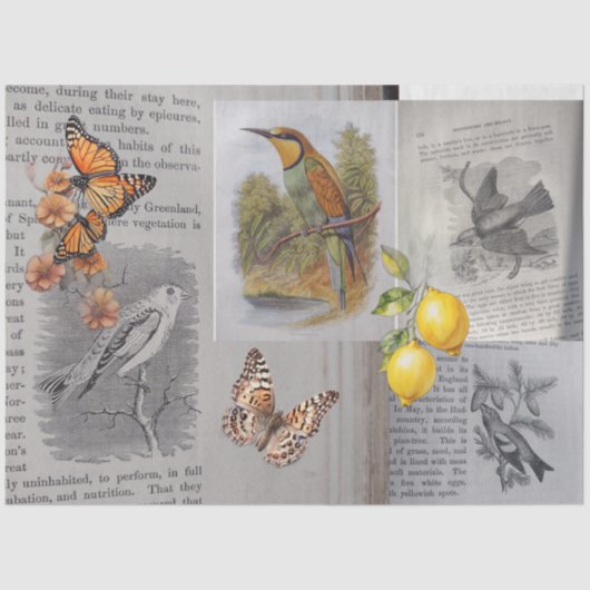 アンティークの鳥と蝶のデコページ 薄葉紙 (正面)