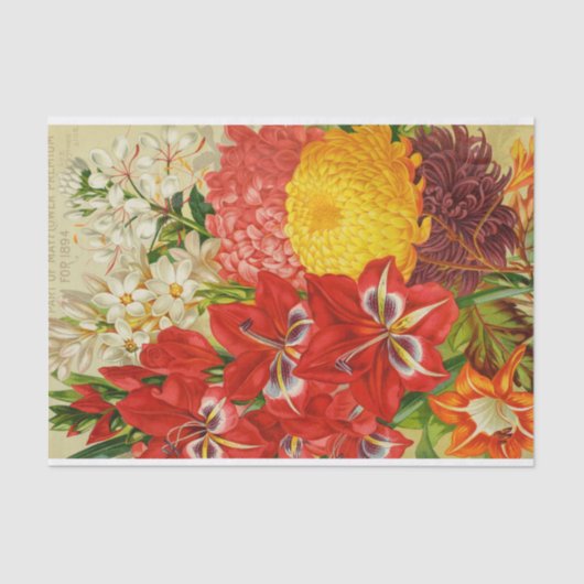 アンティークは1894のカタログのティッシュペーパーの花よろしいです 薄葉紙 (正面)