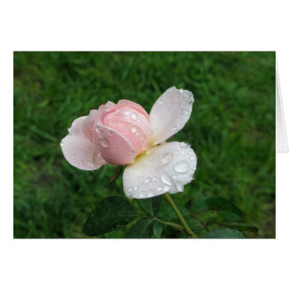 アンティークは3上がりました