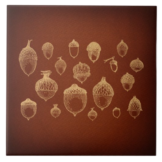 アンティークアコーンアート図解入りの、写真付きのヴィンテージアコーン タイル (正面)