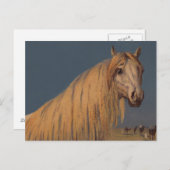 アンティークアートトワイライトデザートアラビアンホースポストカード ポストカード (正面/裏面)