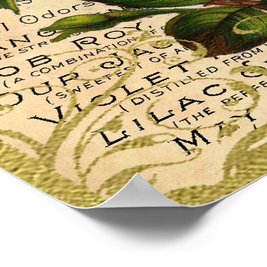 アンティークイエローローズフラフューム ポスター (角)